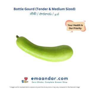 Bottle Gourd (Tender & Medium Sized)