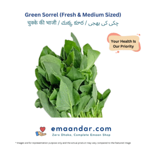 Green Sorrel (Fresh & Medium Sized)