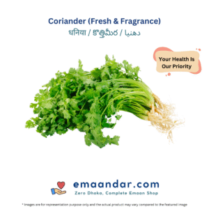 Coriander (Fresh & Fragrance)