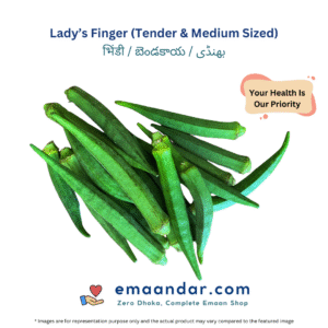 Lady’s Finger (Tender & Medium Sized)