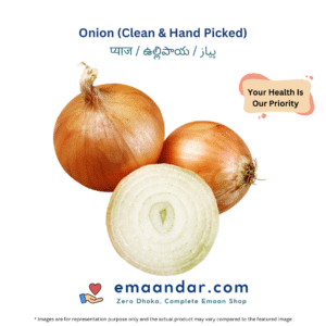 Onion (Clean & Hand Picked)