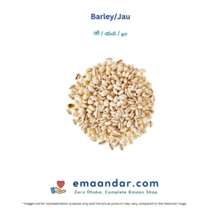 Barley/Jau – 100 gm