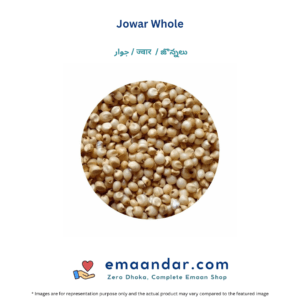 Jowar Whole