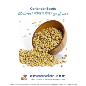 Coriander Seeds